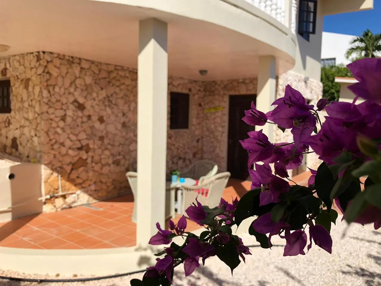 Bed and Breakfast Hemels Curacao Willemstad 0*,  Curaçao