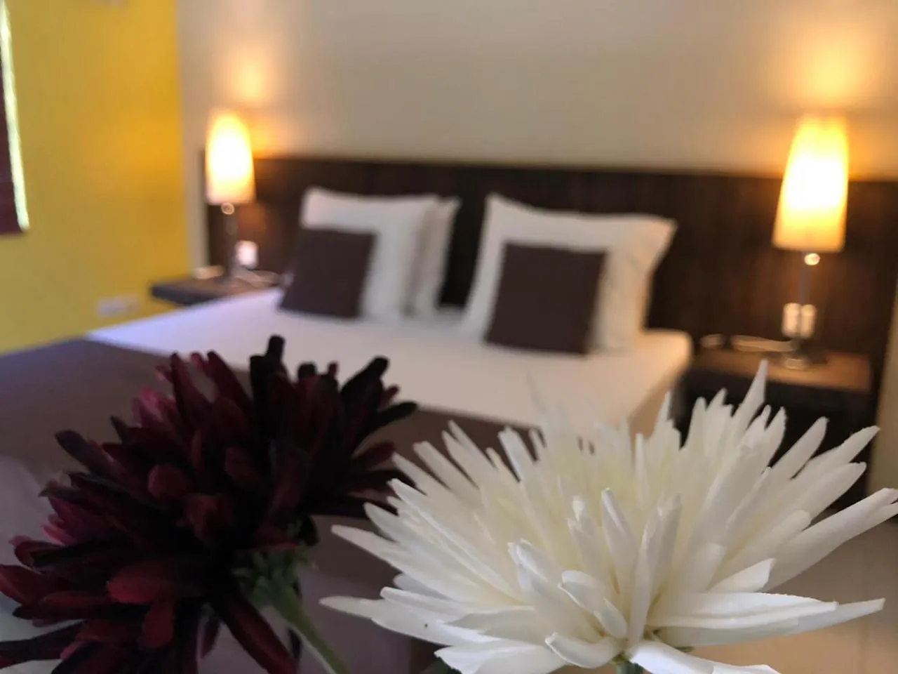 Bed and Breakfast Hemels Curacao Willemstad